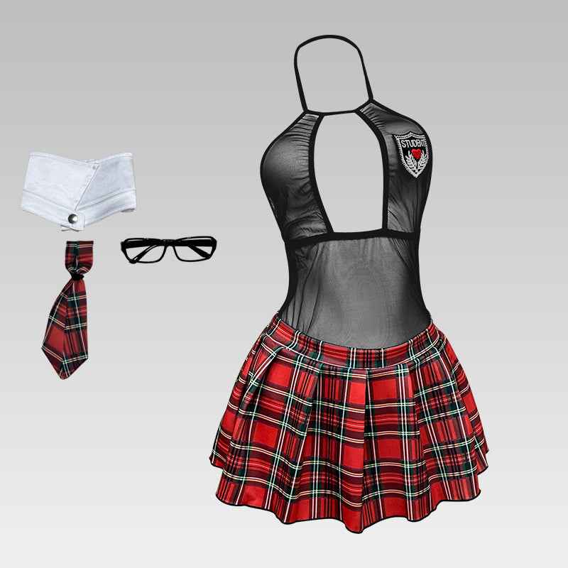 Sexy Teachers Crush Costume