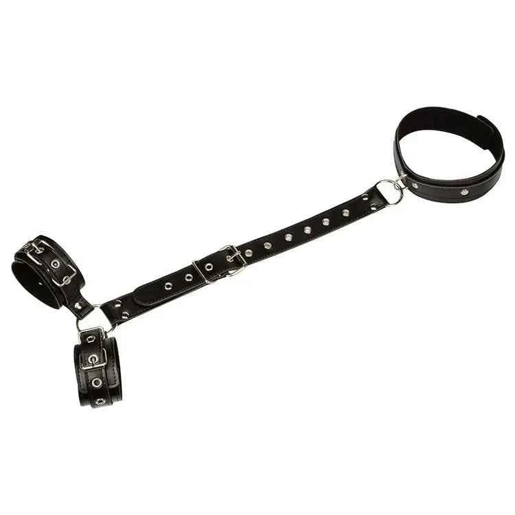 SPIRIT HARNESS