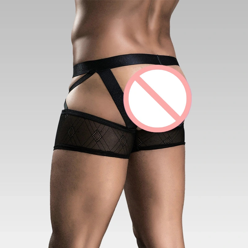 mens-strappy-sheer-boxer-briefs-open-back-1