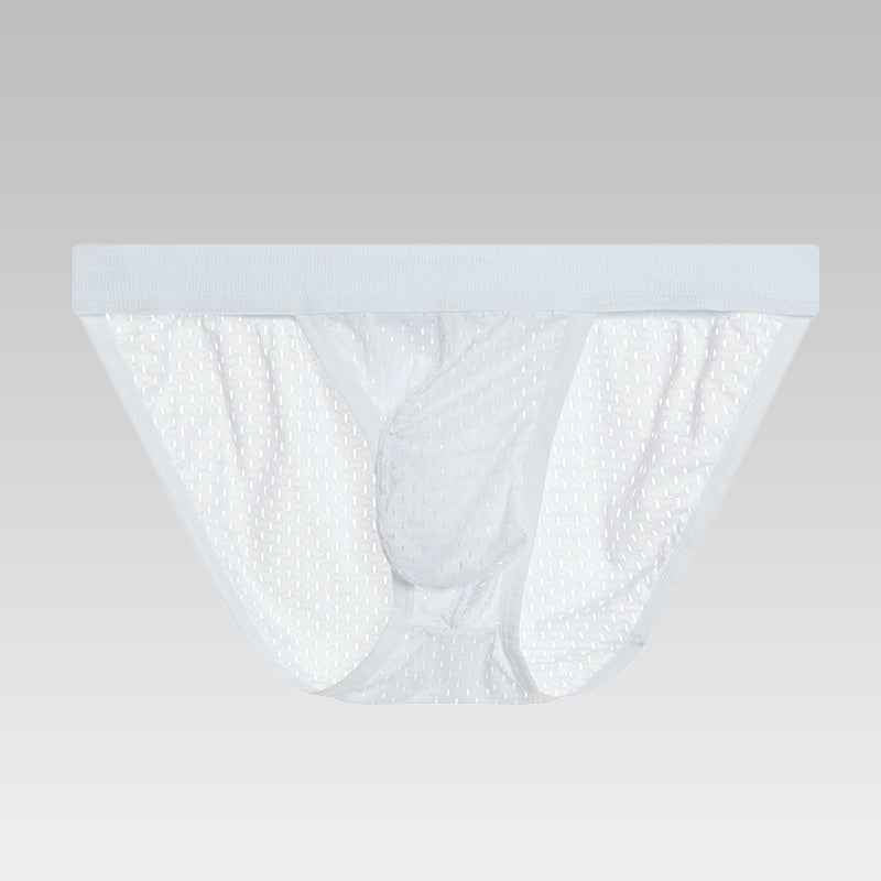 Men’s Sheer Mesh See-Through Briefs